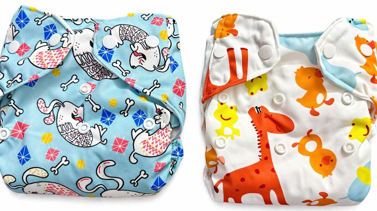 Printed Cloth Reusable Diapers Combo of 2